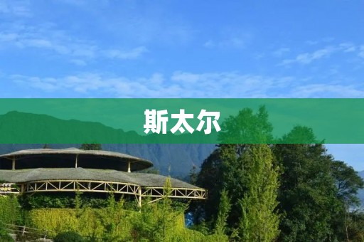 斯太尔:全球领先的光电子解决方案提供商 斯太尔:全球领先的光电子解决方案提供商