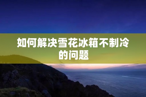 如何解决雪花冰箱不制冷的问题