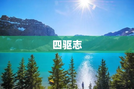 四驱志:探秘四驱世界的精彩之旅 四驱志:探秘四驱世界的精彩之旅