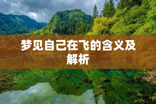 梦见自己在飞的含义及解析