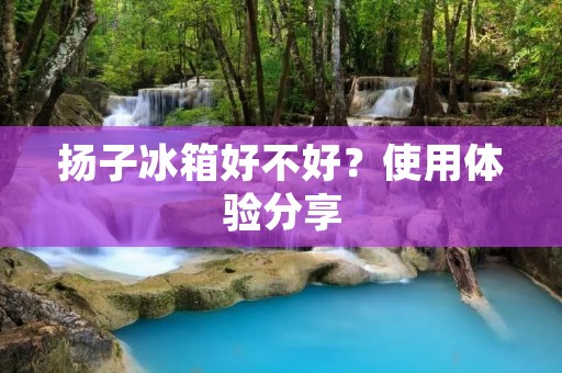 扬子冰箱好不好?使用体验分享 扬子冰箱好不好?使用体验分享