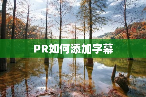 PR如何添加字幕