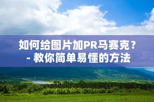 如何给图片加PR马赛克？ - 教你简单易懂的方法