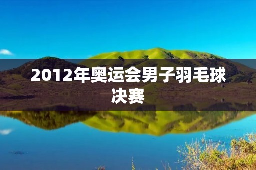 2012年奥运会男子羽毛球决赛：林丹vs李宗伟