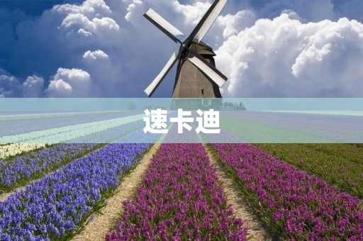 速卡迪:一款高效便捷的支付工具 速卡迪:一款高效便捷的支付工具