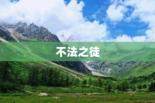 不法之徒：法律底线下的危害与打击
