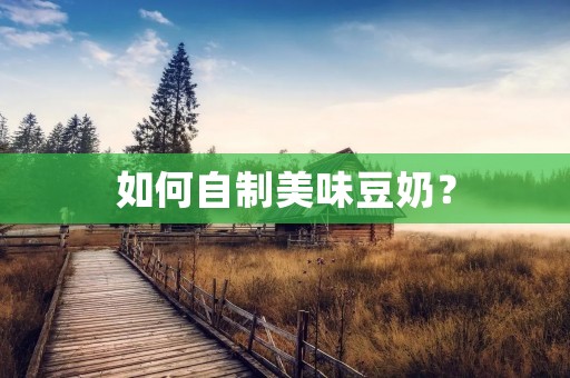 如何自制美味豆奶? 如何自制美味豆奶?