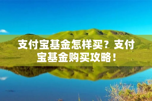 支付宝基金怎样买?支付宝基金购买攻略! 支付宝基金怎样买?支付宝基金购买攻略!