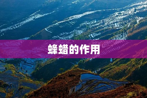 蜂蜡的作用 蜂蜡的作用