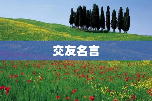 交友名言：智慧人生道路上的伴侣