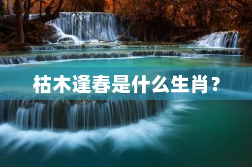 枯木逢春是什么生肖？