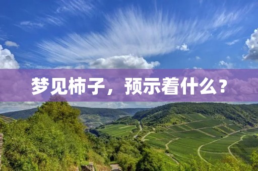 梦见柿子，预示着什么？