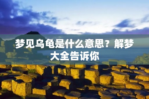 梦见乌龟是什么意思？解梦大全告诉你