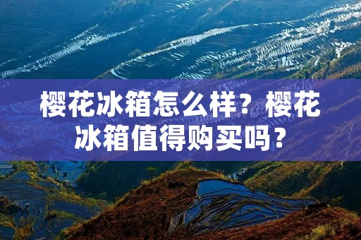 樱花冰箱怎么样？樱花冰箱值得购买吗？