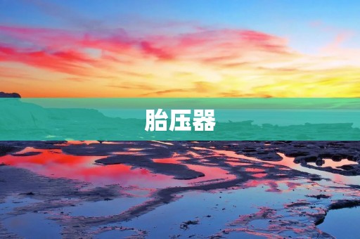 胎压器:让您的驾驶更加安全