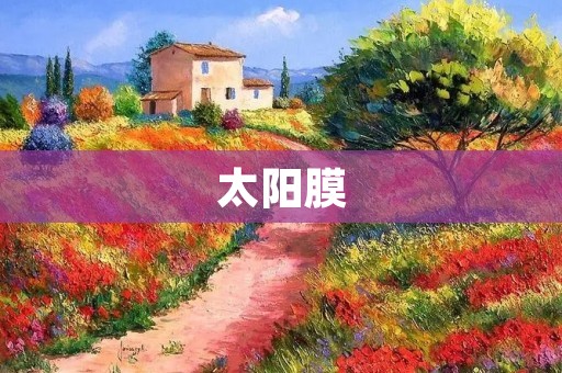 太阳膜:汽车后玻璃的必备保护神器 太阳膜:汽车后玻璃的必备保护神器