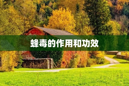 蜂毒的作用和功效 蜂毒的作用和功效