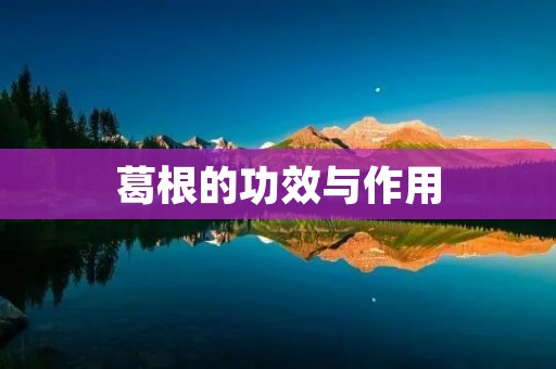 葛根的功效与作用 葛根的功效与作用