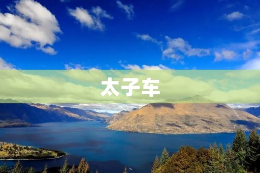 太子车：中国古代皇室的代表**通工具