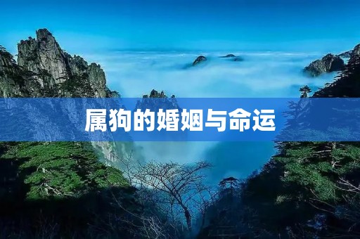属狗的婚姻与命运