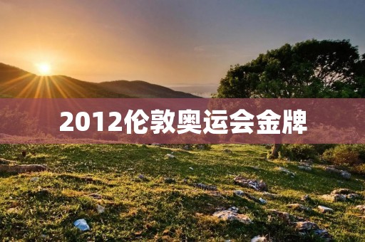 2012伦敦奥运会金牌:中国体育史上的辉煌一页 2012伦敦奥运会金牌:中国体育史上的辉煌一页