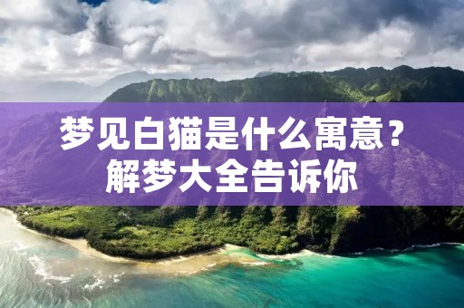 梦见白猫是什么寓意？解梦大全告诉你