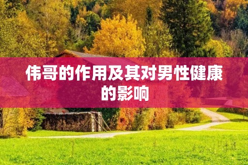 伟哥的作用及其对男性健康的影响