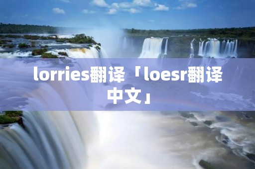 lorries翻译「loesr翻译中文」 lorries翻译「loesr翻译中文」