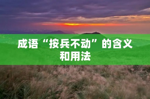 成语“按兵不动”的含义和用法