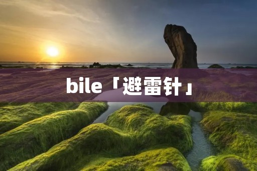 bile「避雷针」 bile「避雷针」