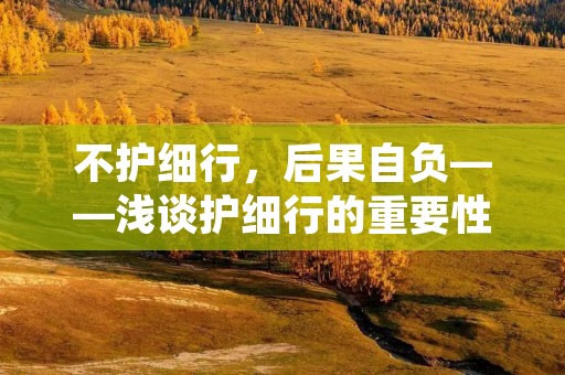 不护细行，后果自负——浅谈护细行的重要性
