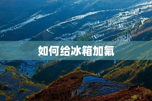 如何给冰箱加氟