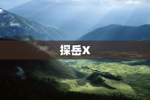 探岳X:一款高性能全能SUV 探岳X:一款高性能全能SUV