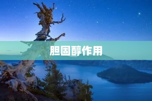 胆固醇作用:了解人体内胆固醇的重要功能 胆固醇作用:了解人体内胆固醇的重要功能