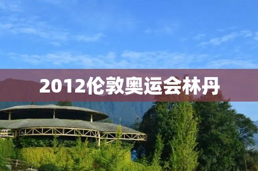  2012伦敦奥运会林丹：羽毛球王者的巅峰时刻 