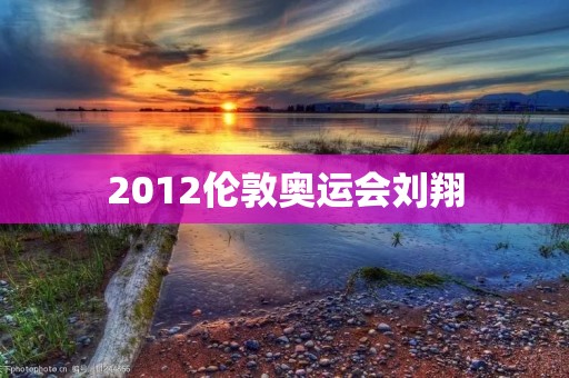 2012伦敦奥运会刘翔：一个传奇的结束