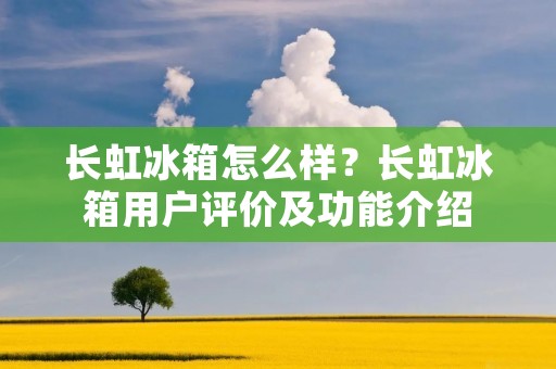 长虹冰箱怎么样?长虹冰箱用户评价及功能介绍 长虹冰箱怎么样?长虹冰箱用户评价及功能介绍