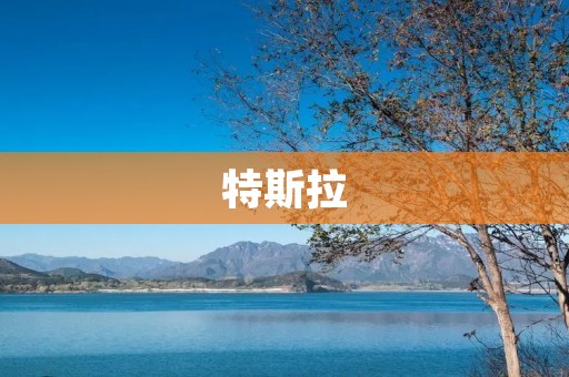 特斯拉：电动汽车领域的领航者