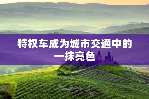 特权车成为城市交通中的一抹亮色 特权车成为城市交通中的一抹亮色