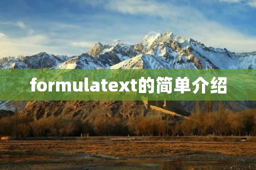 formulatext的简单介绍