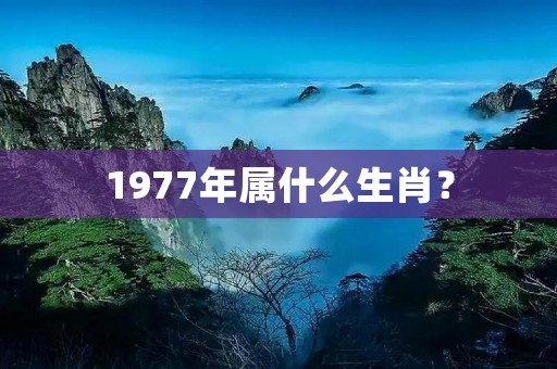 1977年属什么生肖？