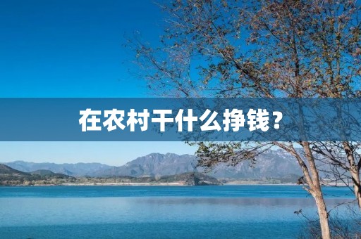 在农村干什么挣钱？