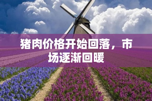 猪肉价格开始回落，市场逐渐回暖