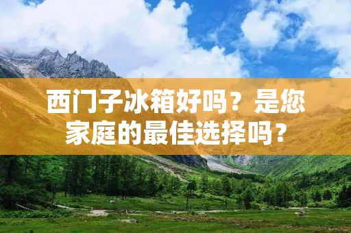 西门子冰箱好吗?是您家庭的最佳选择吗?