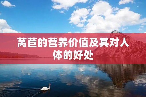 莴苣的营养价值及其对人体的好处