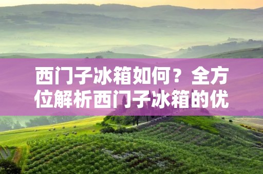 西门子冰箱如何?全方位解析西门子冰箱的优势与劣势