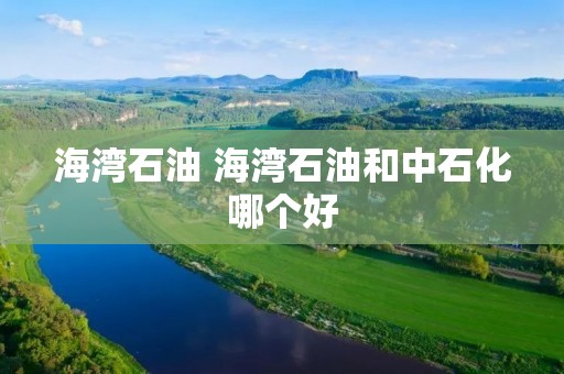 海湾石油 海湾石油和中石化哪个好