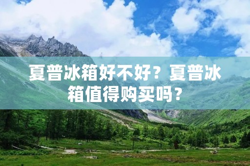 夏普冰箱好不好?夏普冰箱值得购买吗?