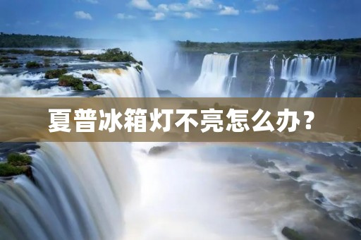 夏普冰箱灯不亮怎么办?