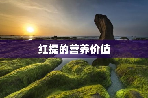 红提的营养价值